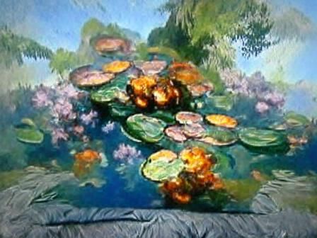 Waterlilies in flower in a Goldfish Pond