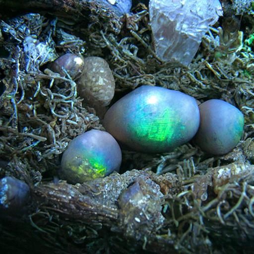 iridescent eggs