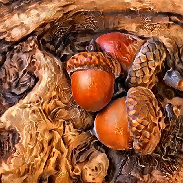 Autumn Acorns
