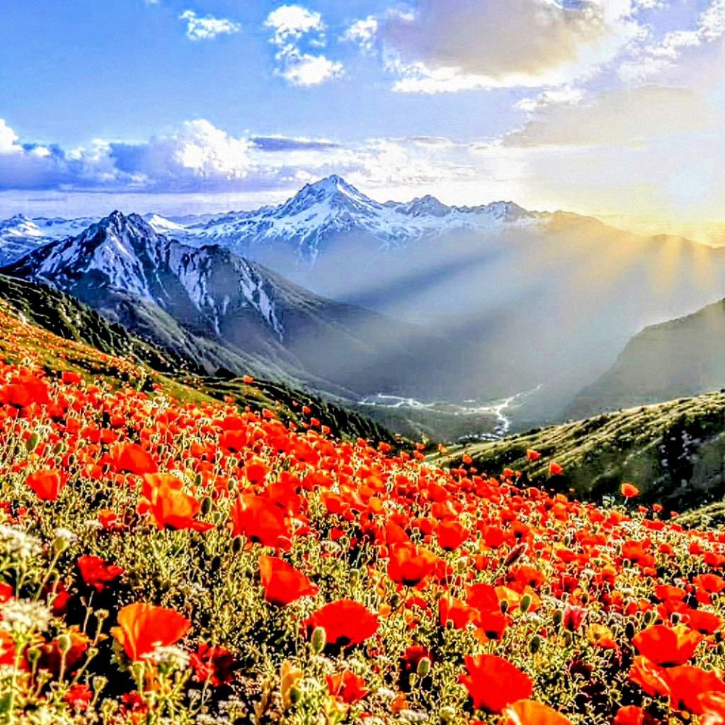 Here the Case Can be Made for Living in a Digital Environment