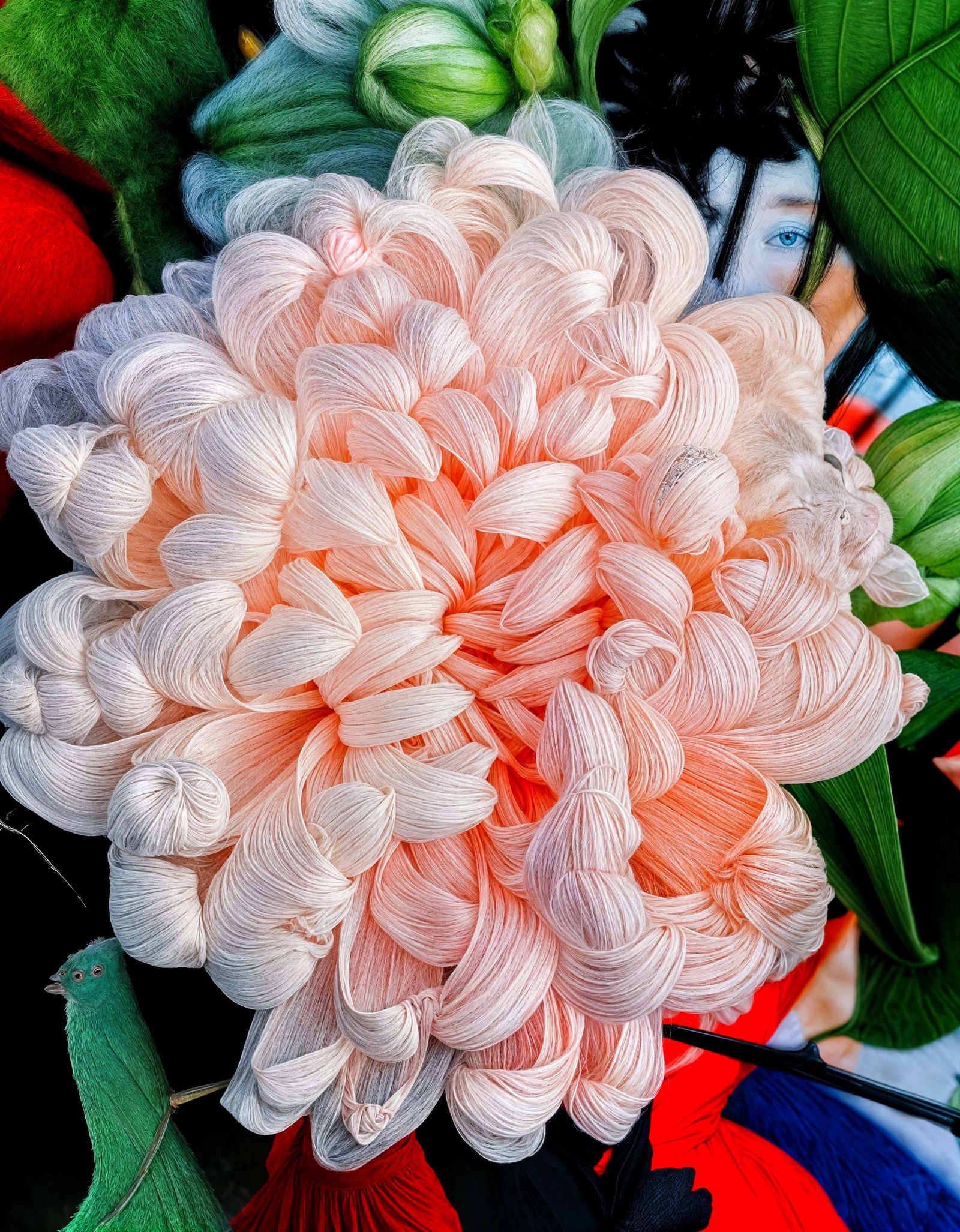 Pink Chrysanthemum