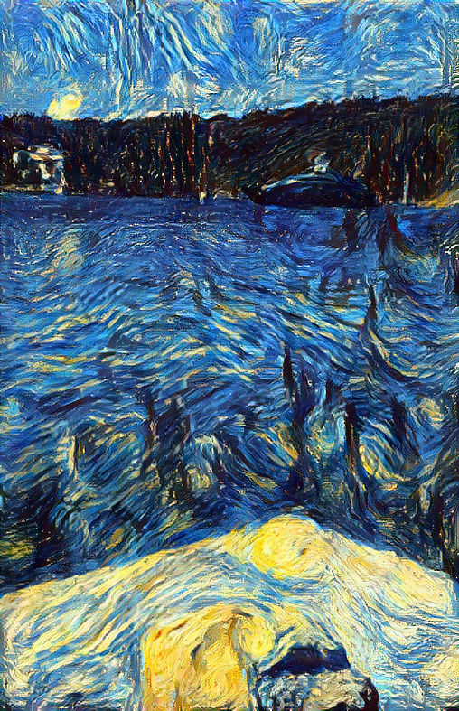 Van Gogh visited my boat