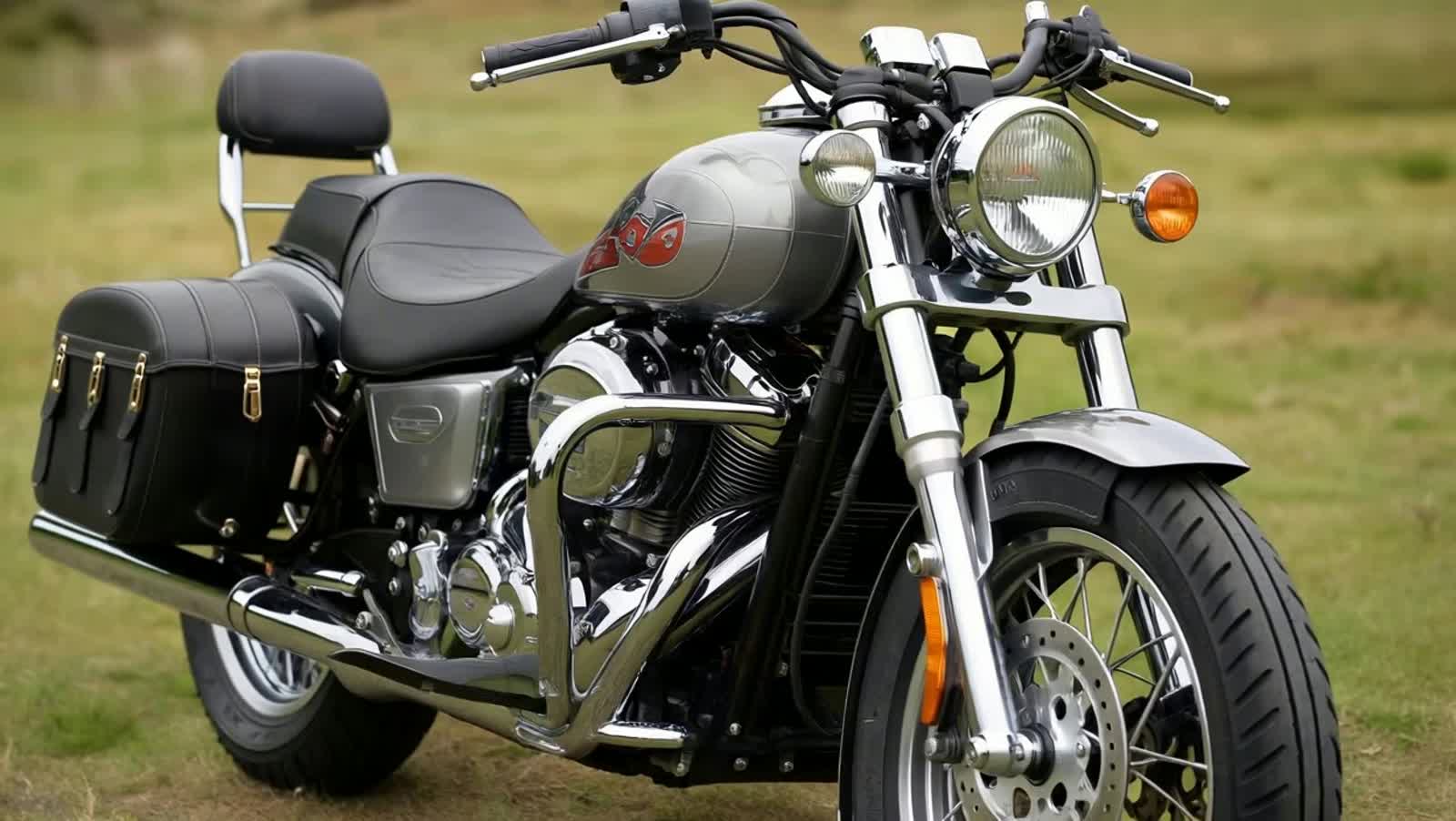 Motorcycle built for two. Full dress leather saddle bags. Lots of chrome,  fat tires. Paint that only the top painters a...