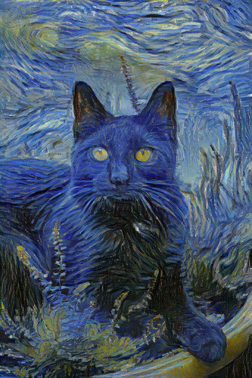 Cat Starry Starry Night