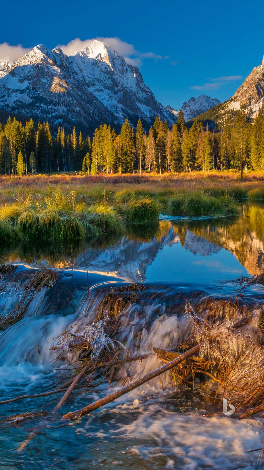 Nature,Mountains, Trees...