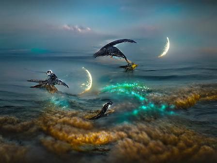 graceful birds flying over a moonlit sea i