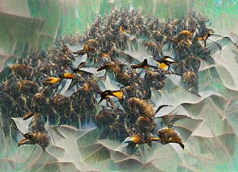 Swarm