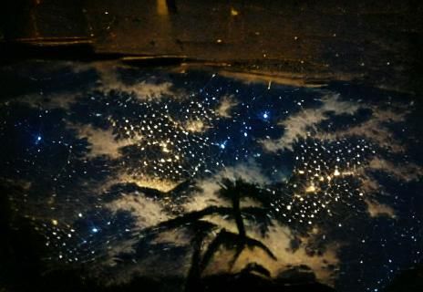 Stars in the night sky