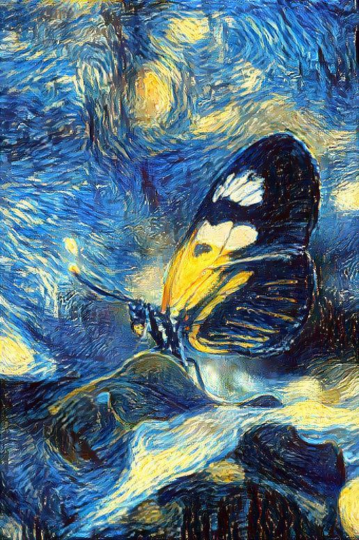 Butterfly Steel