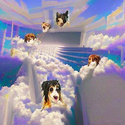 All dogs go to heaven