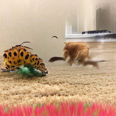 Chasing His Prey