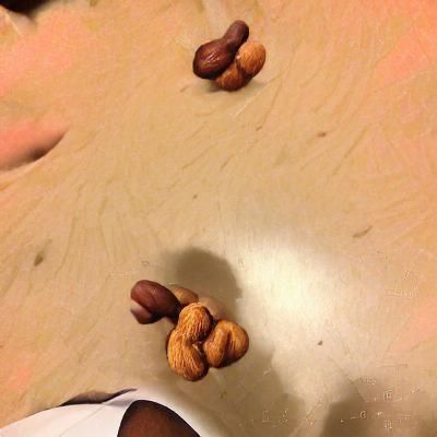 Deez nuts