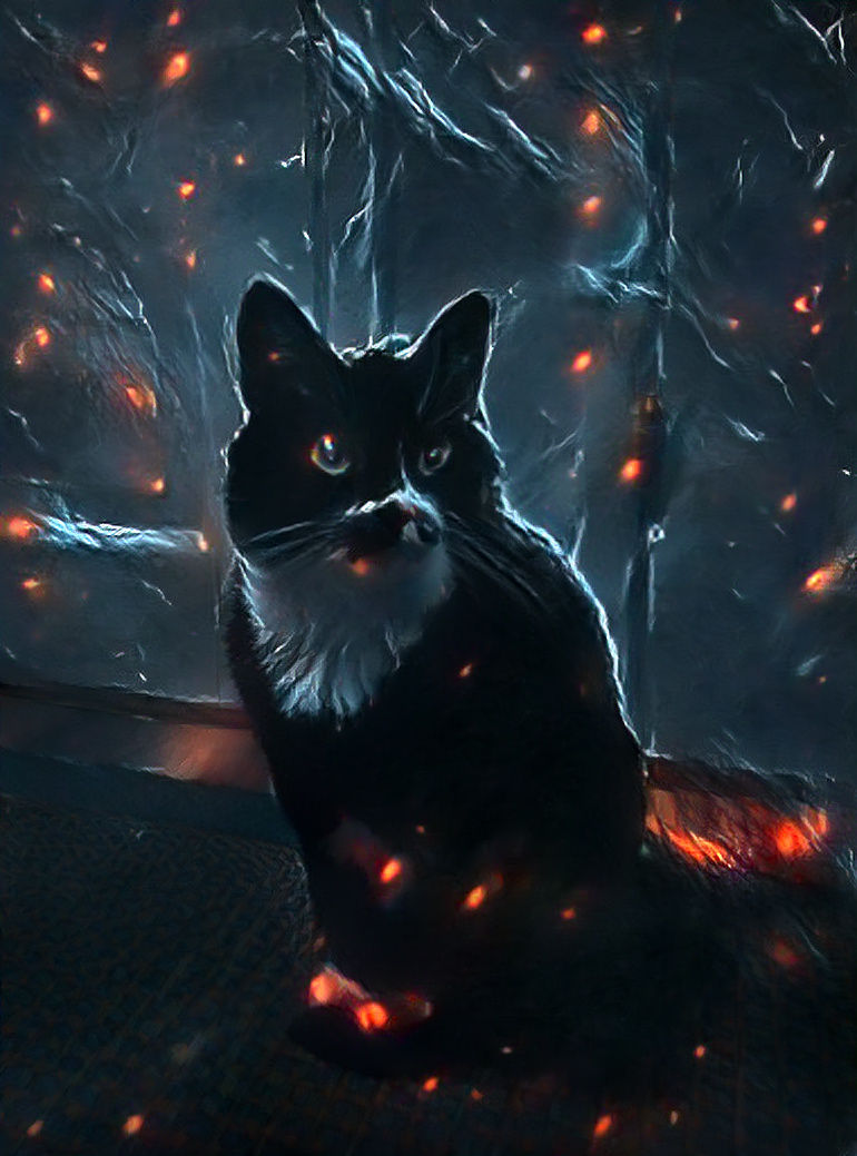 House burning, cat chilling 