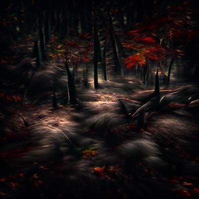Dark autumn forest 8k resolution