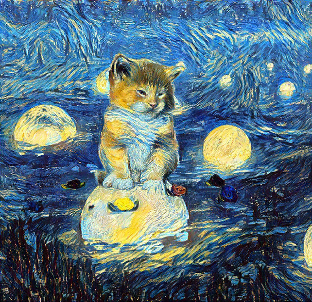 Kitten on glowing orbs