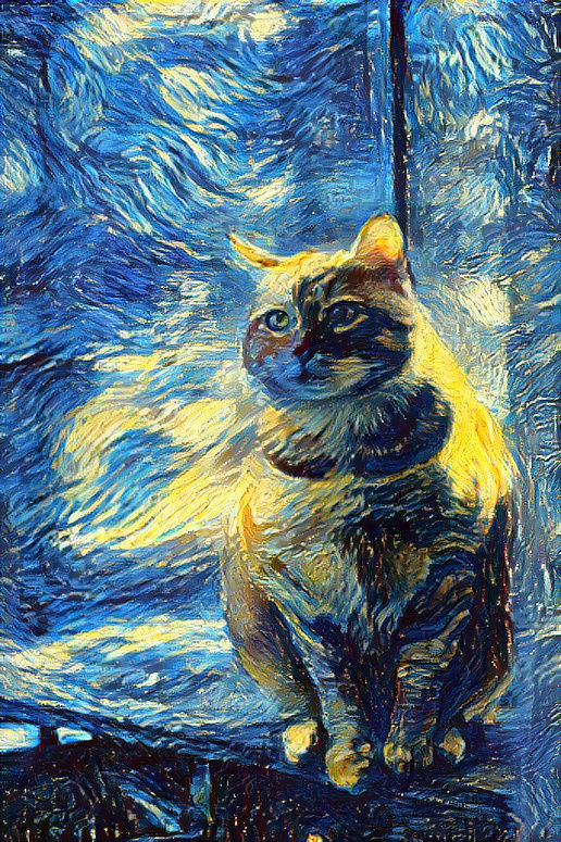 Cat star