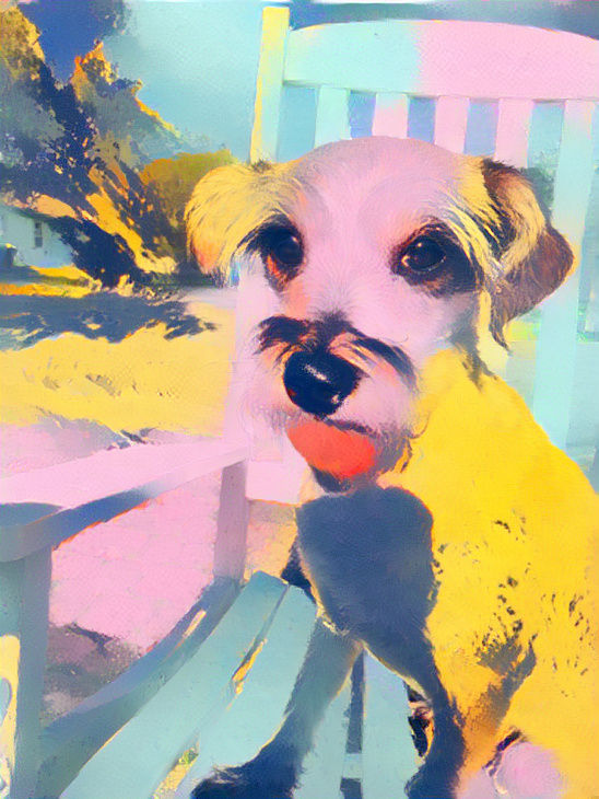 Lucy my dog