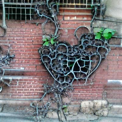 Hidden Love in the Streets of NY
