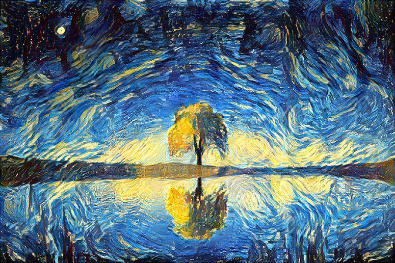 The tree when it’s sunset