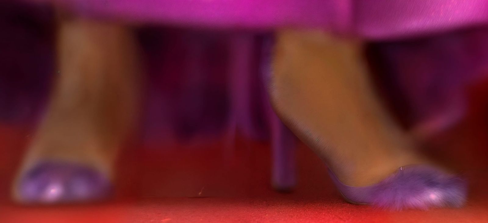 The Pink Heels of Diane Foxington