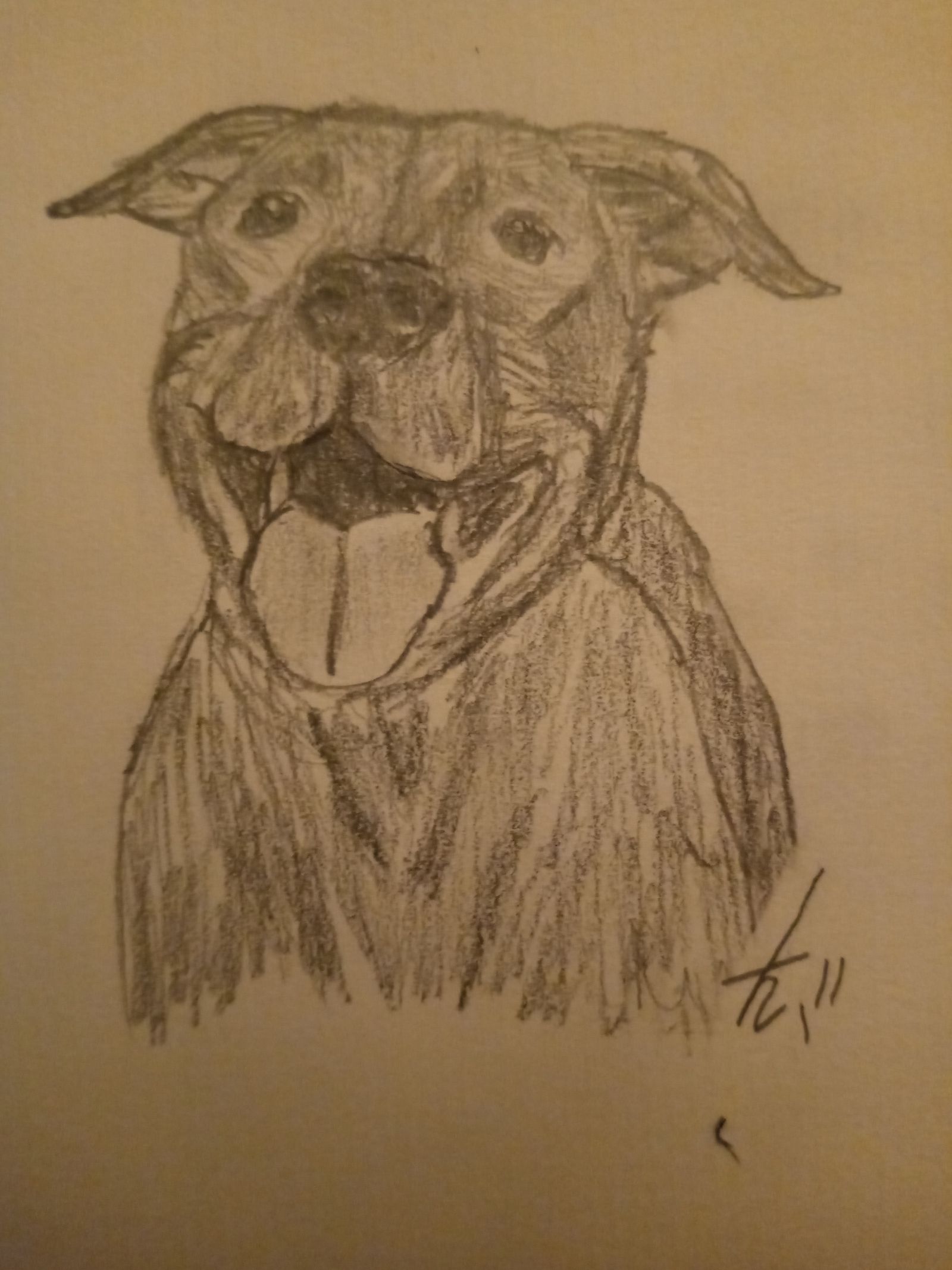 Happy pitbull Drawn by Filly herself.