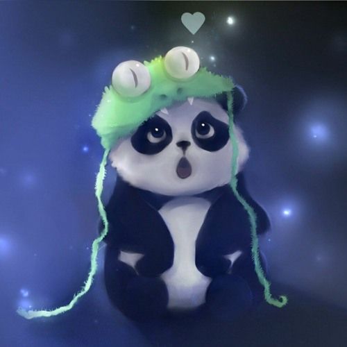 Cute panda