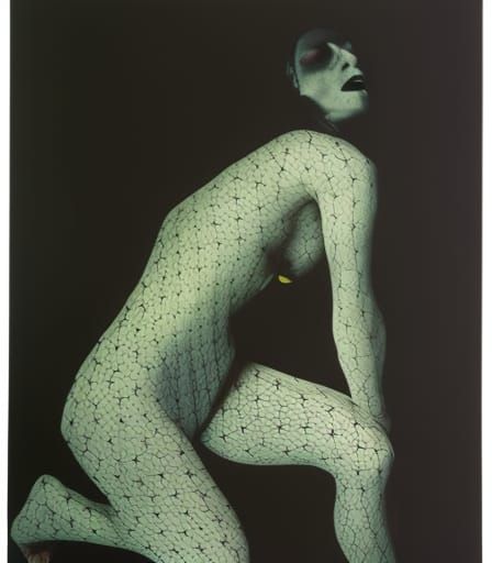 Wraiths and Strays in Translucent Gauze, Hyperrealism