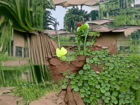 impossibility