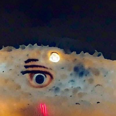 The moon has eyes