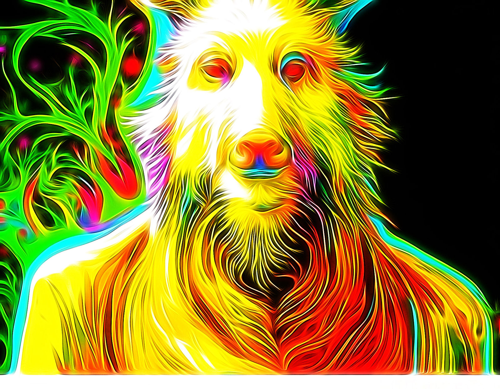 Psychedelic Alex Phelps’s