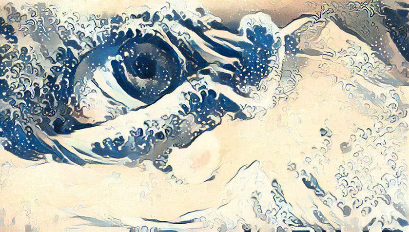 Eye