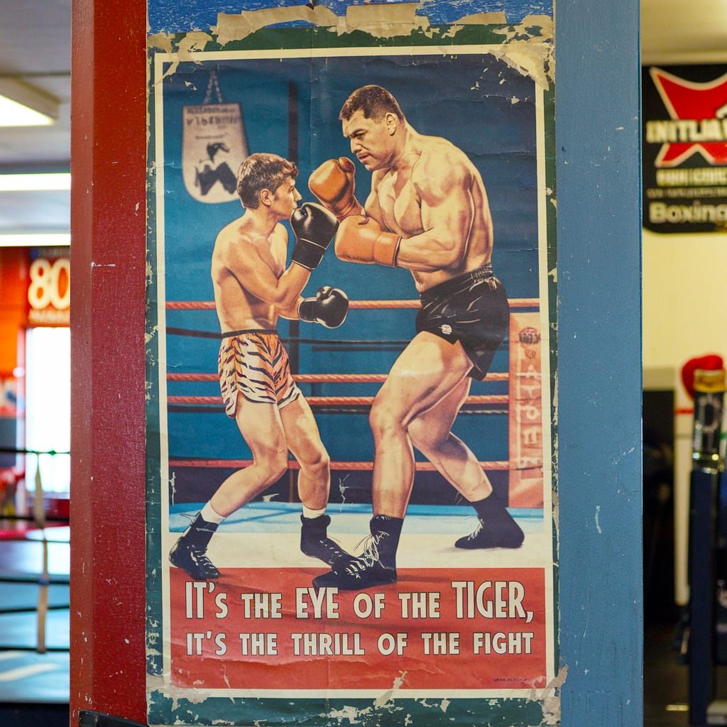 Lyrics & Art - Eye of the Tiger