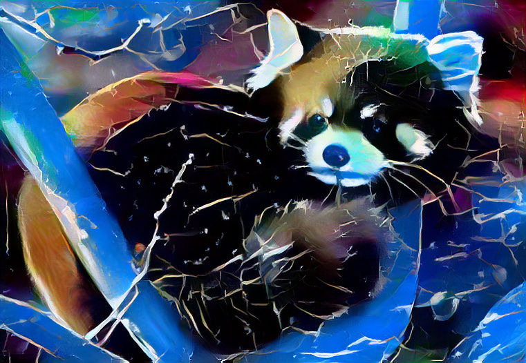 space panda(red panda)