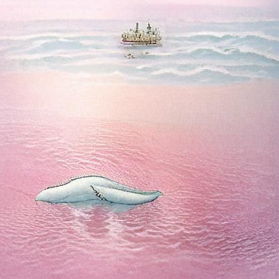 A pale pink whale in a shimmering white sea