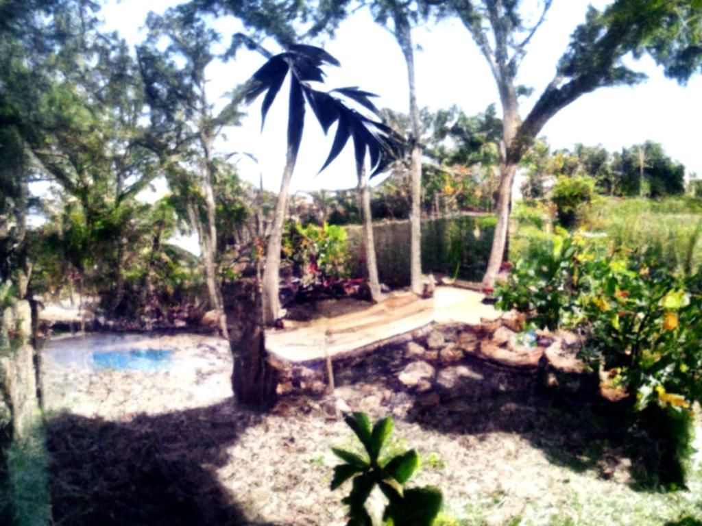 My own piece of paradise.