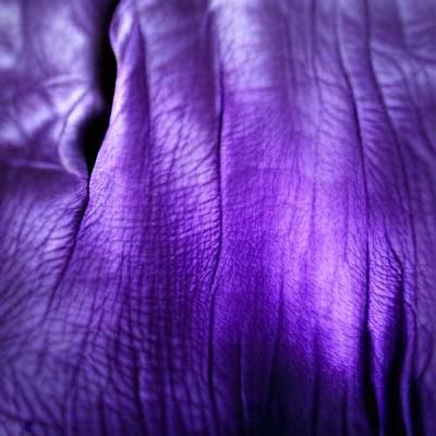 Violet is the colour of grief