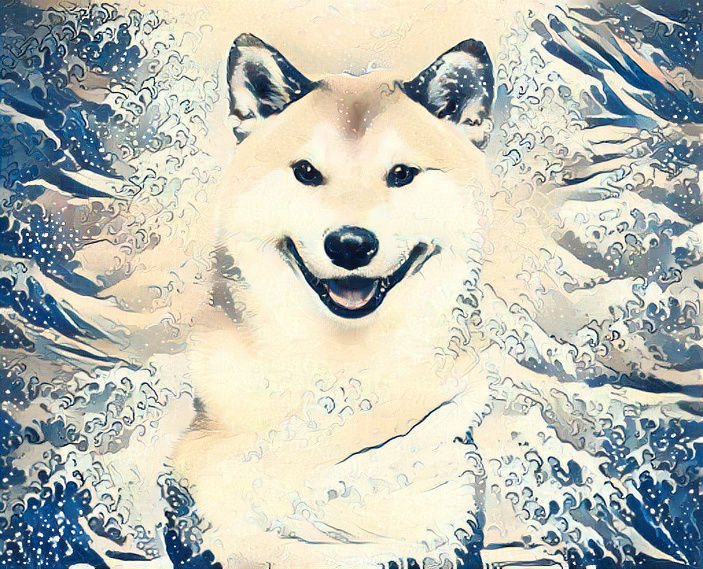 The smil Shiba Inu