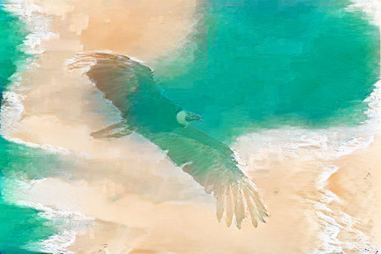 #26 Bolivia Andean Condor