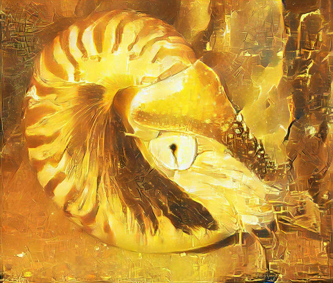 Golden Nautilus s 