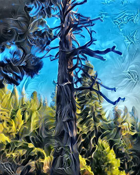Whirlwind trees