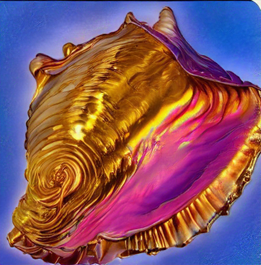 Conch crunch
