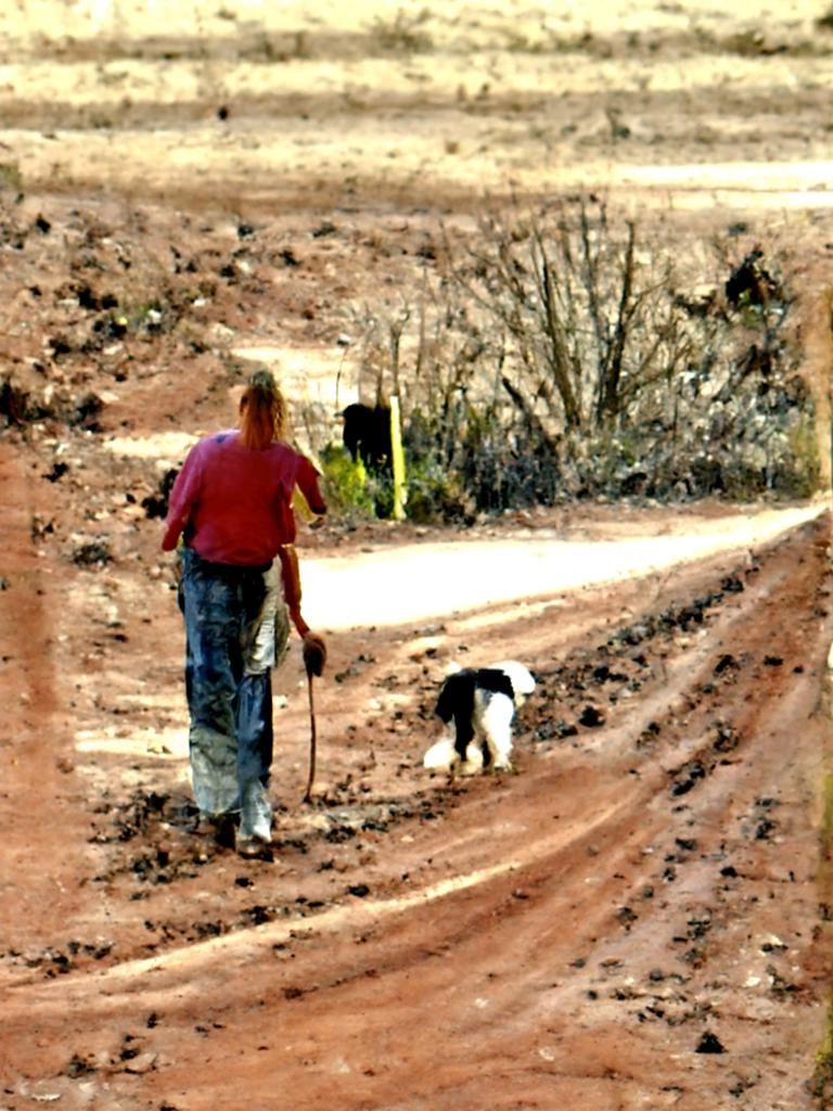 Person walking down a dirt road with a dog
