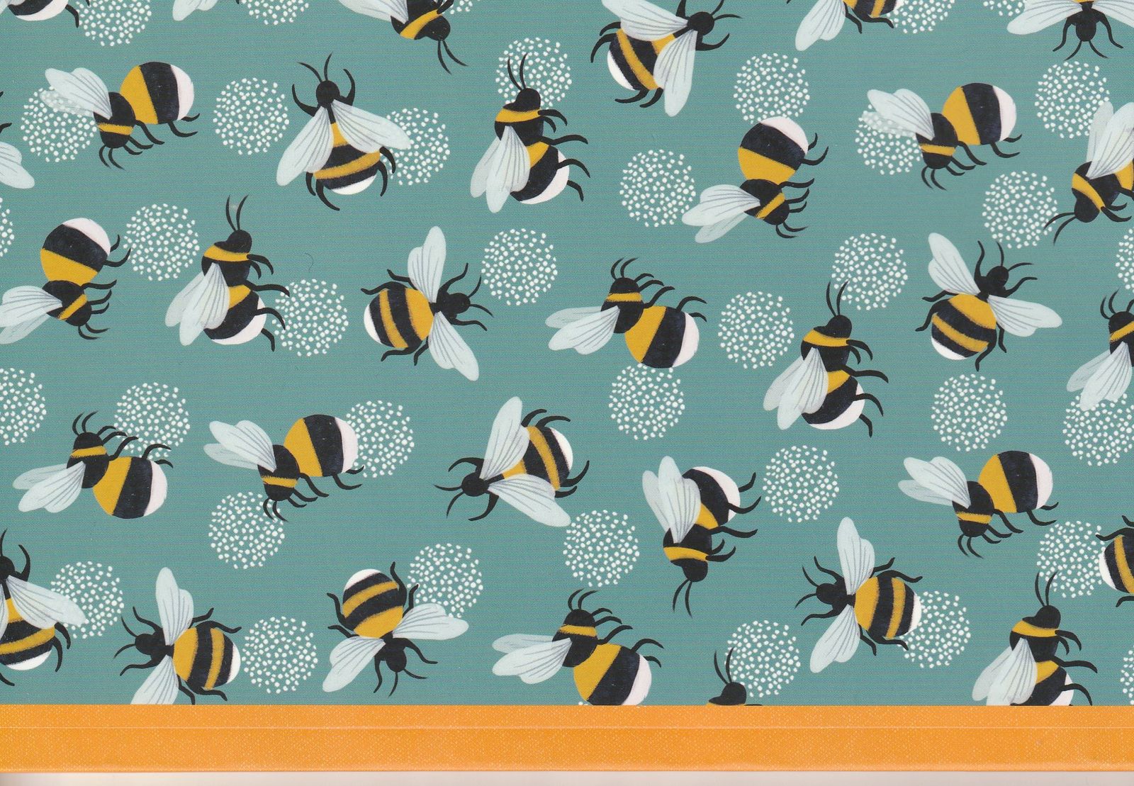 Bees, a precious gift !!