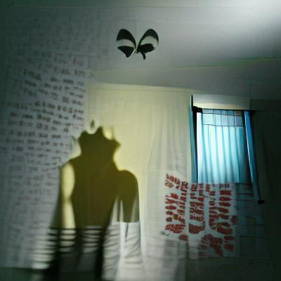 i still see your shadows in my room