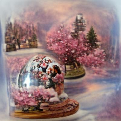 Cherry Blossom Snow Globe 01