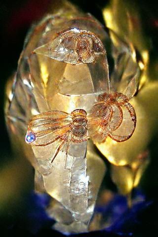 Crystal amnesia