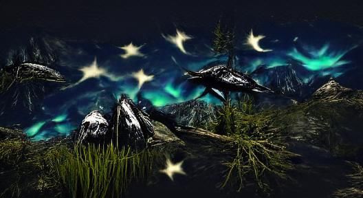 Skyrim nature landscape night stars