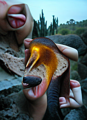 amber ochre darkness swims through an anteater's tongue