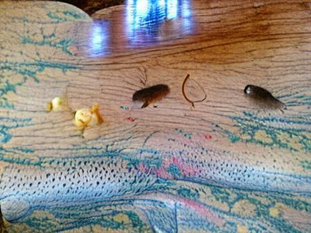 Mouse on the couch in the house with a louse and a trout. Th...