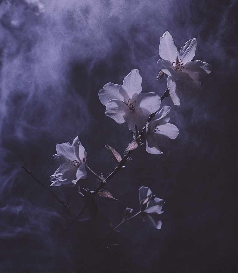 Delicate Detailed Ethereal Gilded Whimsical Fantasy Flower Blossoms / PRIMO